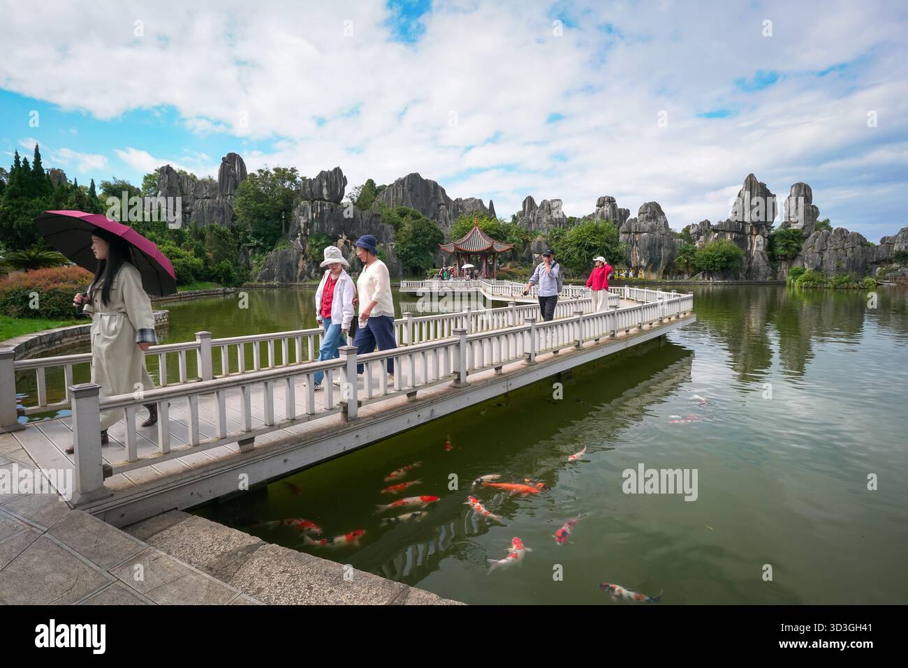 Kunming, Chine - 10 octobre 2025 : vue panoramique à l'intérieur du parc national Stone Forest à Shilin, Kunming, province du Yunnan, Chine. Banque D'Images