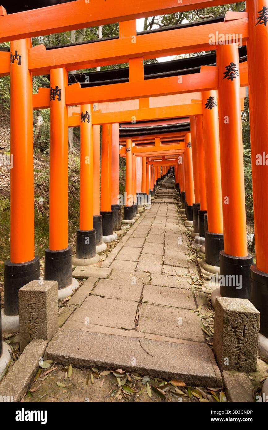 Sanctuaire Fushimi Inari Banque D'Images