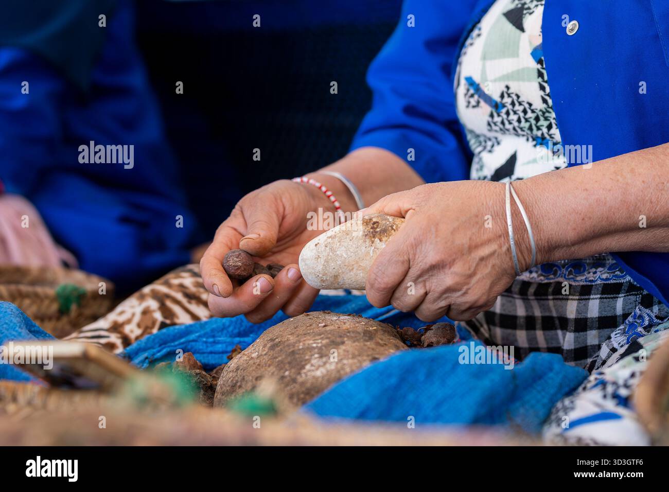 Gros plan des mains de femmes craquant des noix d'argan dans un atelier traditionnel, Maroc. Mains de femmes arabes craquant des noix d'argan pour la production d'huile d'argan Banque D'Images