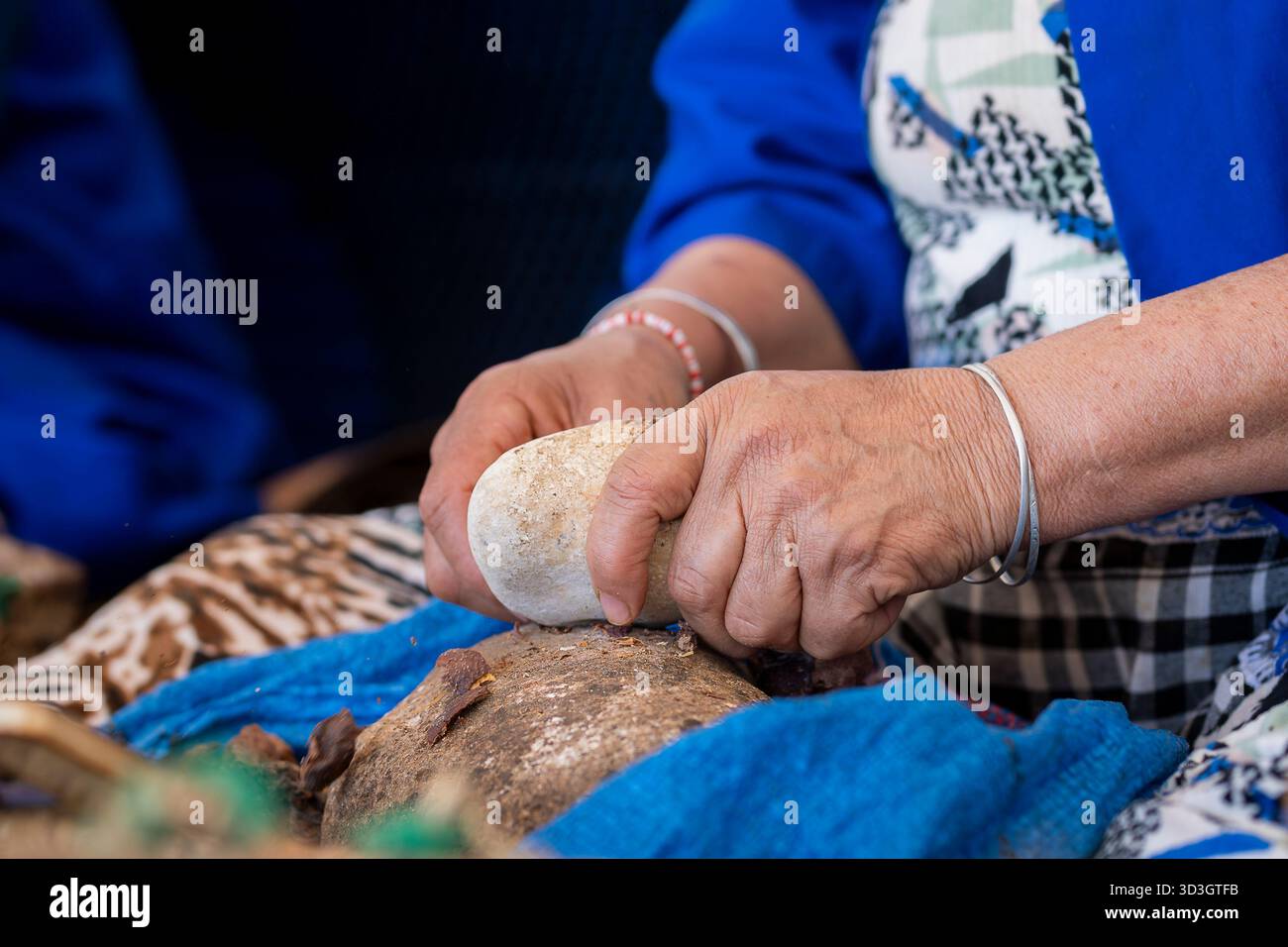 Gros plan des mains de femmes craquant des noix d'argan dans un atelier traditionnel, Maroc. Mains de femmes arabes craquant des noix d'argan pour la production d'huile d'argan Banque D'Images