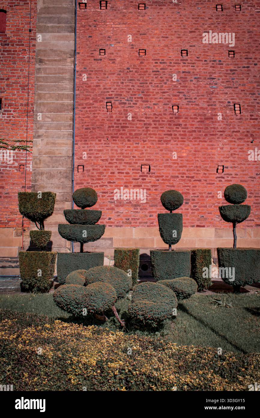 Aménagement paysager, arbustes magnifiquement entretenus, taille des buissons. Banque D'Images