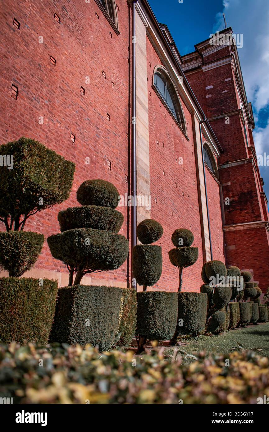 Aménagement paysager, arbustes magnifiquement entretenus, taille des buissons. Banque D'Images