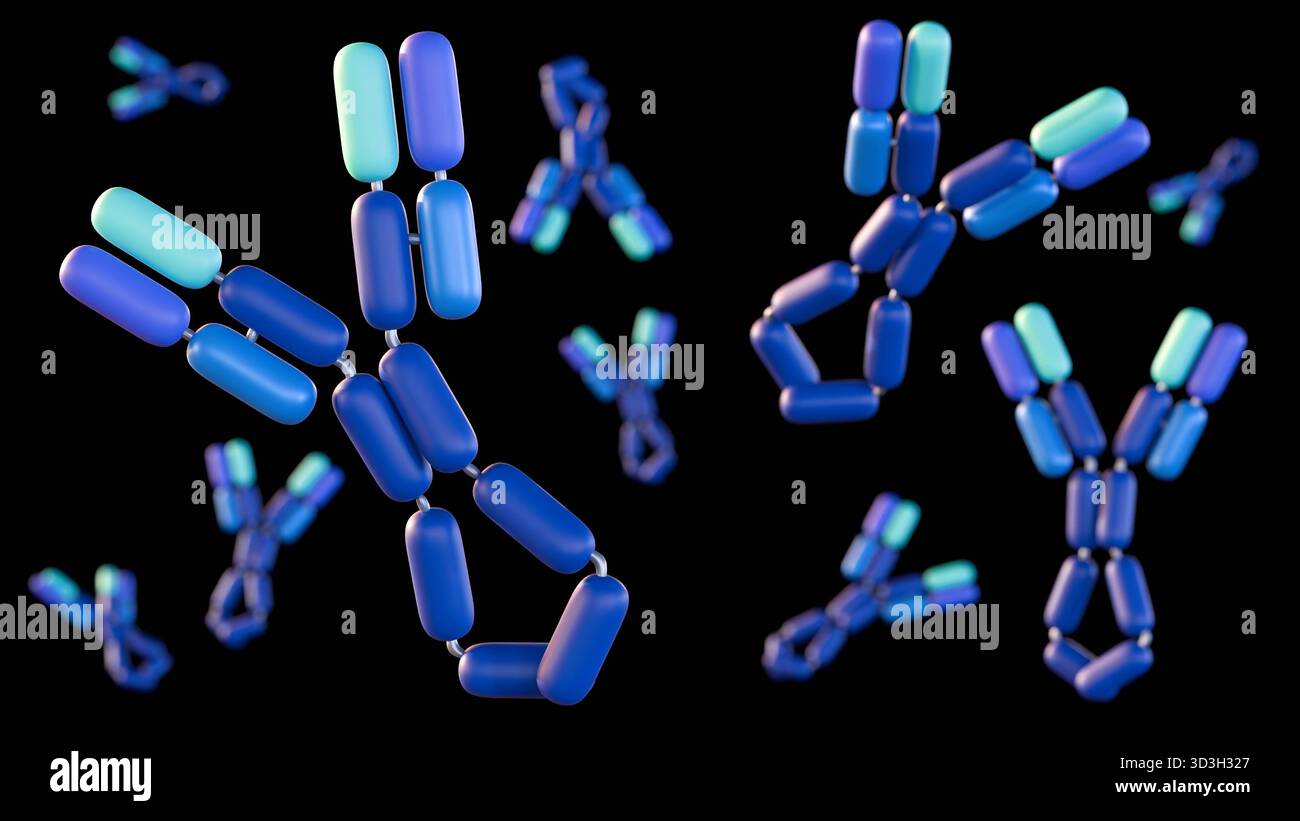 Un rendu 3d de l'immunoglobuline E ou IgE existe sous la forme d'une molécule unique en forme de Y. Le rôle est de médier les réactions allergiques. Banque D'Images