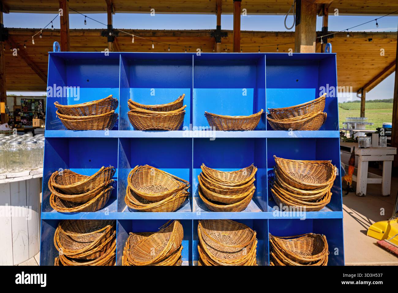 Burnside Farms – paniers de cueillette de tournesol Nokesville // NOKESVILLE, Virginie, États-Unis — les paniers tissés sont empilés dans une étagère bleu vif à Burnside Farms, désignée pour la cueillette de tournesol. Cette ferme, située à Nokesville, en Virginie, est une destination agritouriste de premier plan connue pour ses vastes champs de tournesols et ses festivals saisonniers. Les paniers sont disponibles pour les visiteurs participant à l'expérience de cueillette de tournesol par soi-même. Burnside Farms attire les clients de la région métropolitaine de Washington D.C. et offre une variété d'activités agricoles. Banque D'Images