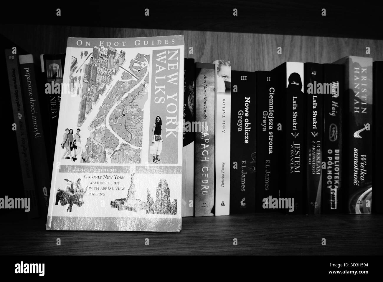 Livre sur étagère Banque D'Images