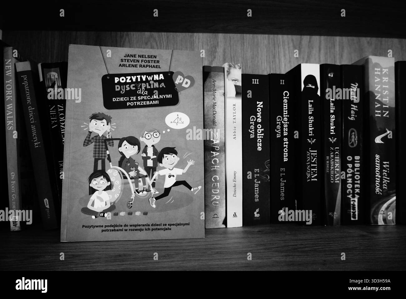 Livre sur étagère Banque D'Images