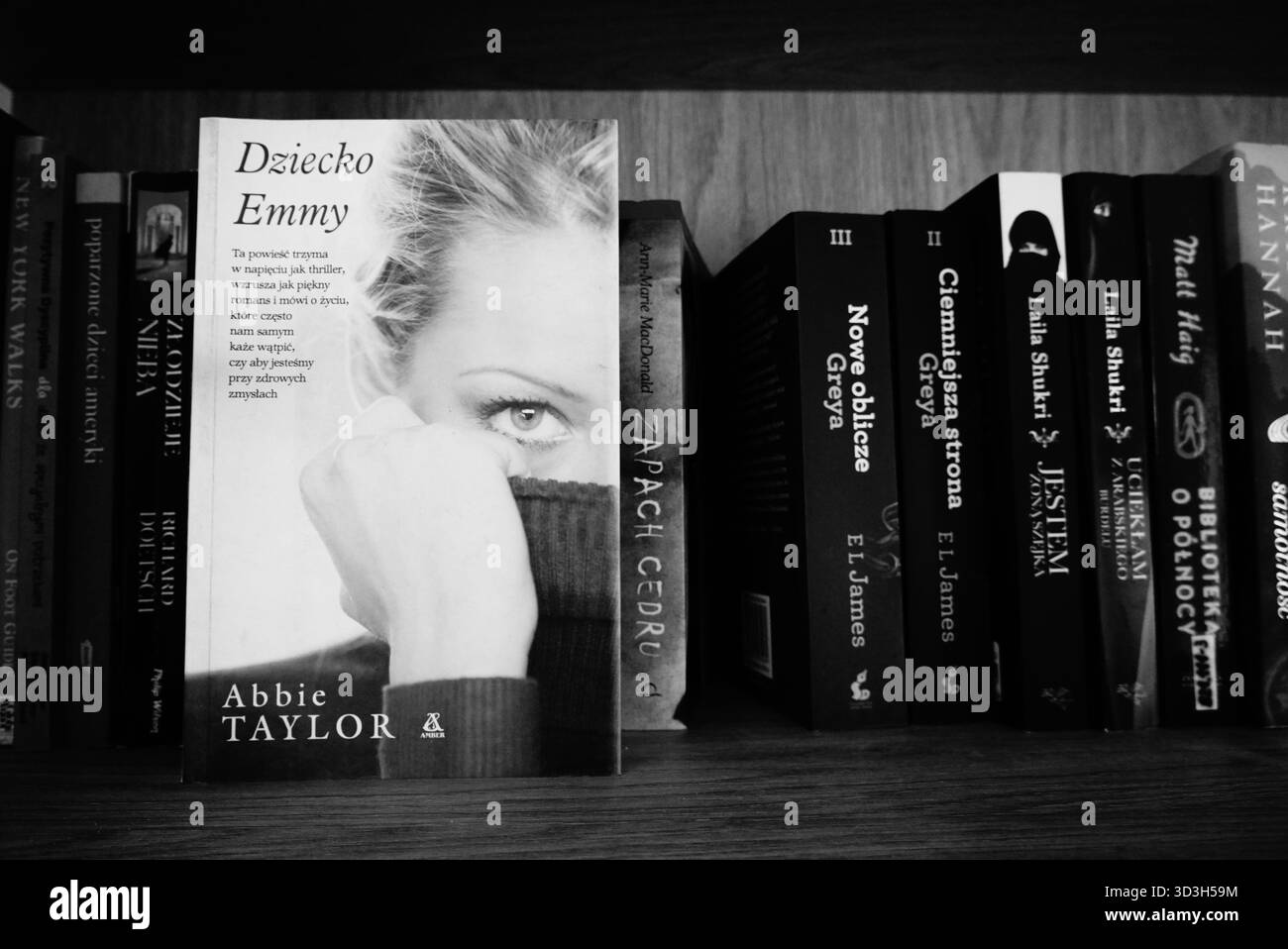 Livre sur étagère Banque D'Images