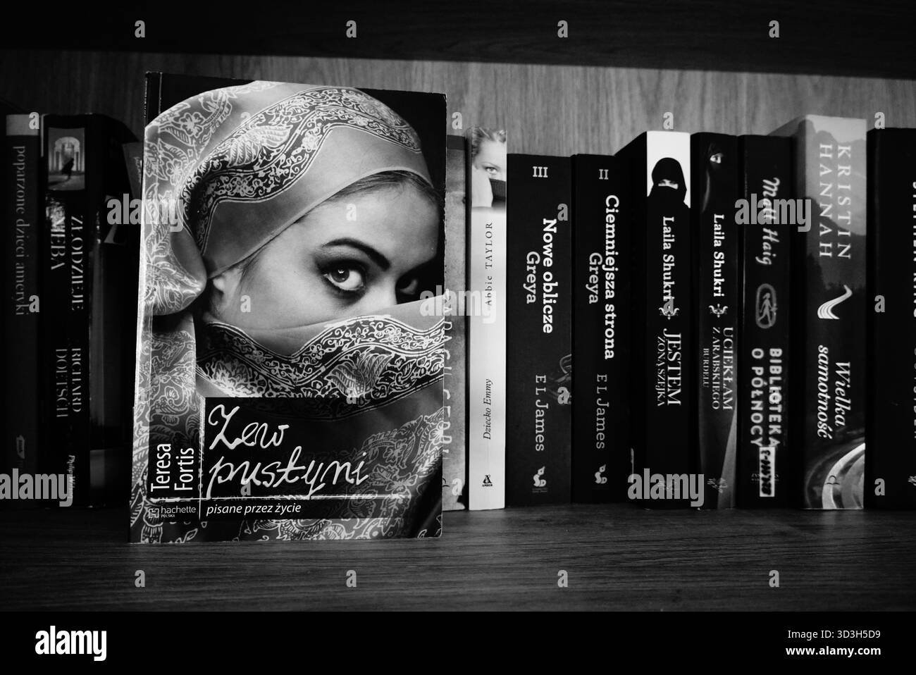 Livre sur étagère Banque D'Images