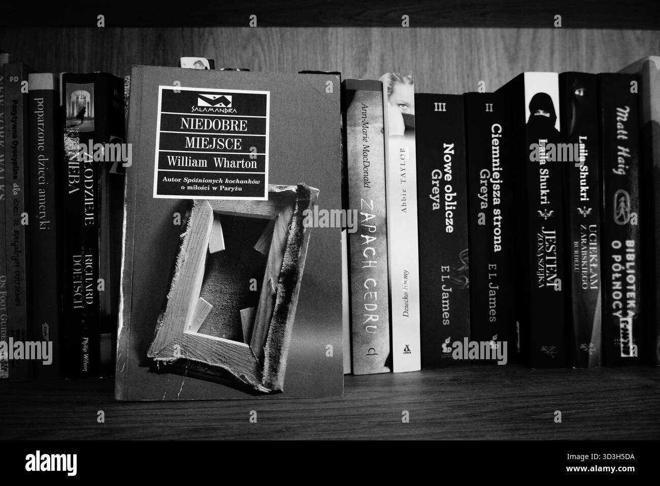 Livre sur étagère Banque D'Images