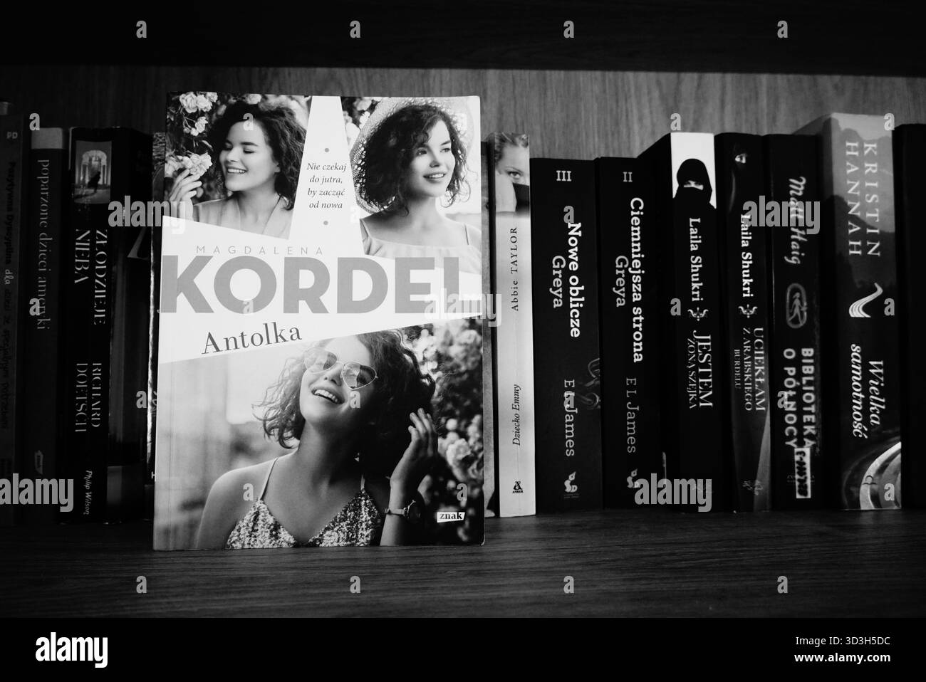 Livre sur étagère Banque D'Images