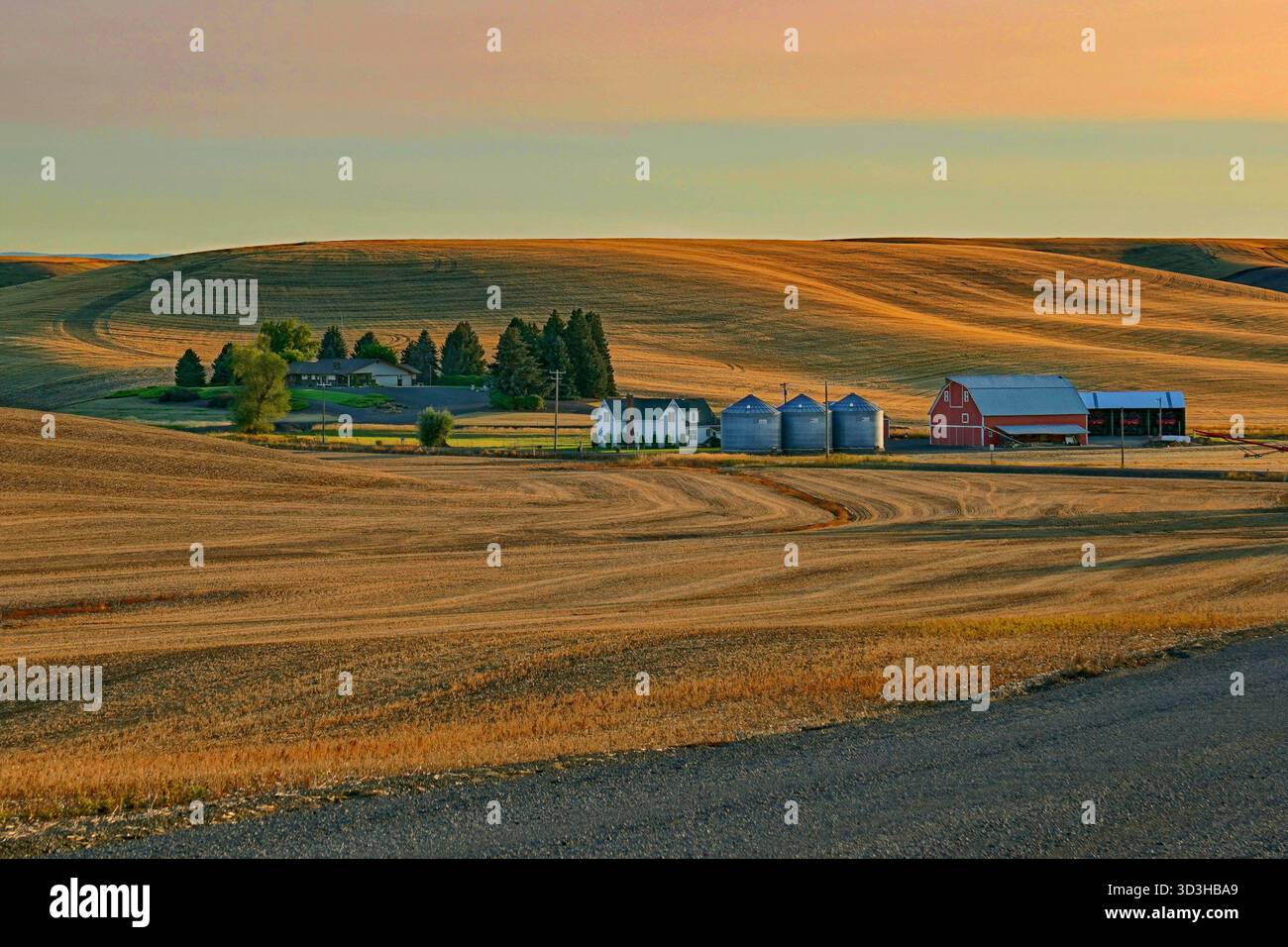 Terres agricoles dans les collines ondulantes de la région de Palouse à Washington au coucher du soleil Banque D'Images