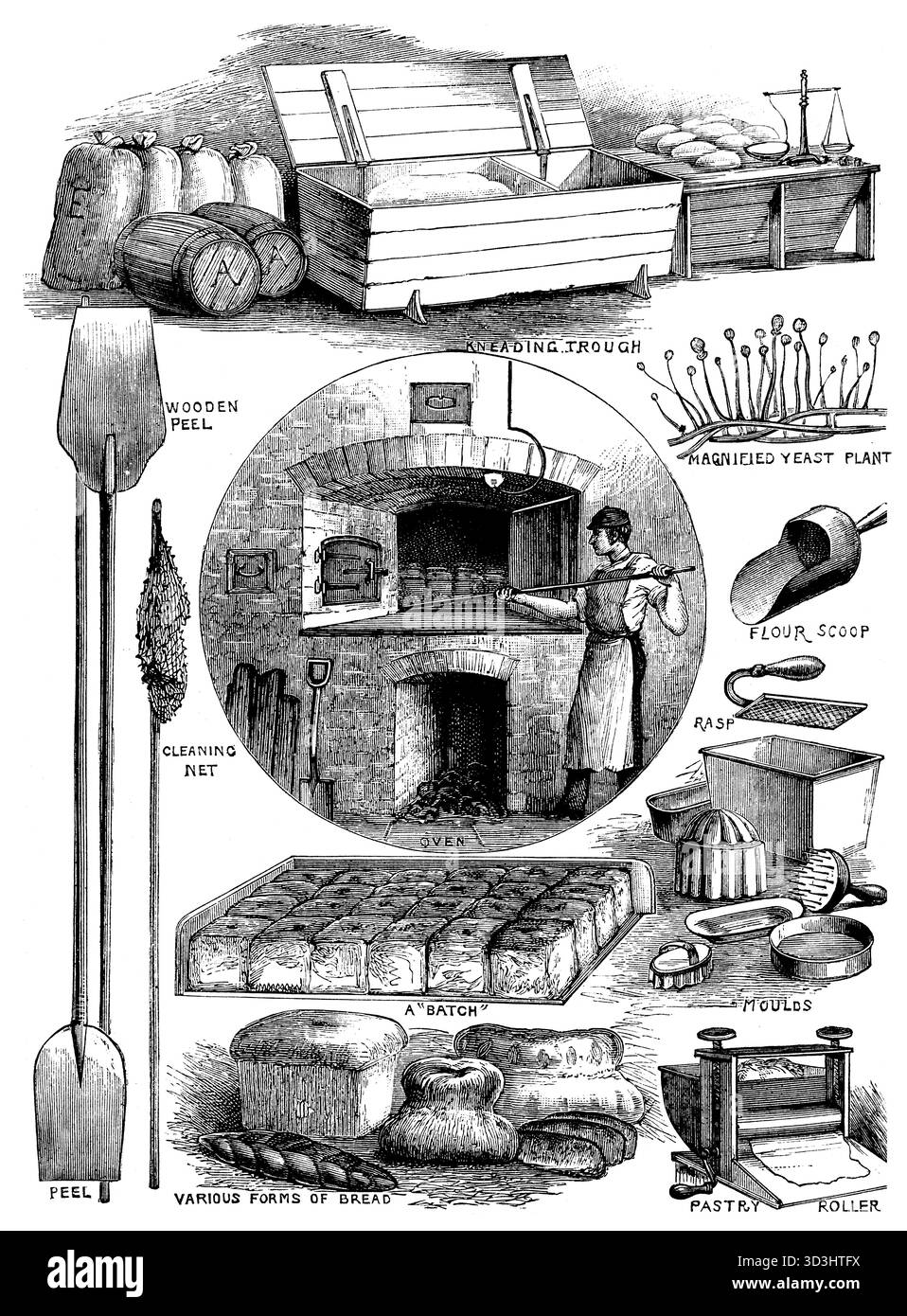 Our Morning Loaf, illustration de la boulangerie de pain victorienne, du livre d’amis pour enfants de 1884 Banque D'Images