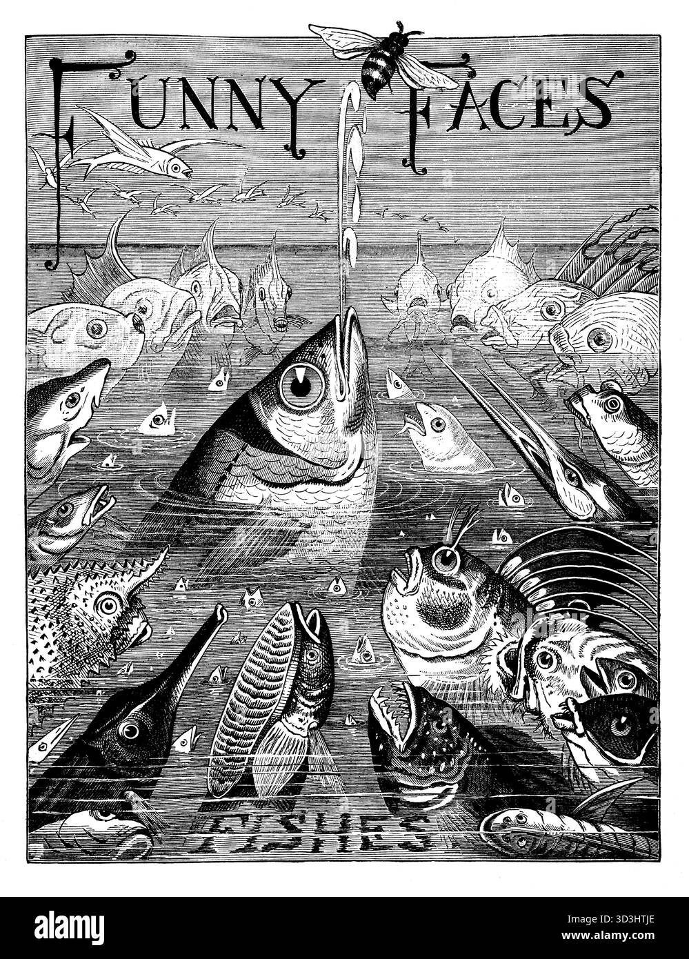 Visages drôles, poissons, illustration amusante de poissons assortis du livre d'amis pour enfants de 1884 Banque D'Images
