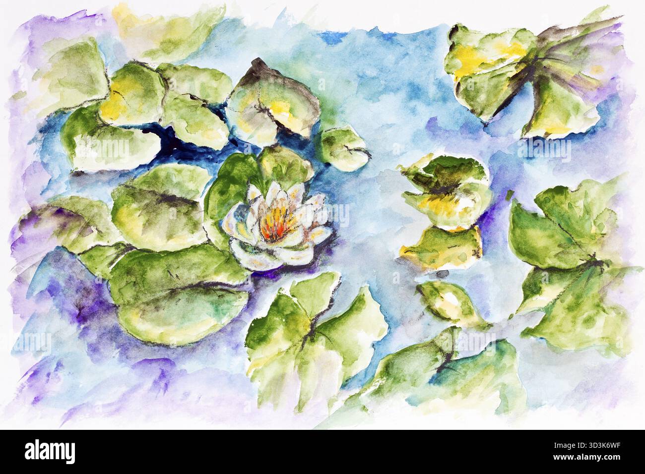 Le nénuphar blanc pousse dans un petit étang - handmade aquarelle illustration sur un papier blanc art fond Banque D'Images