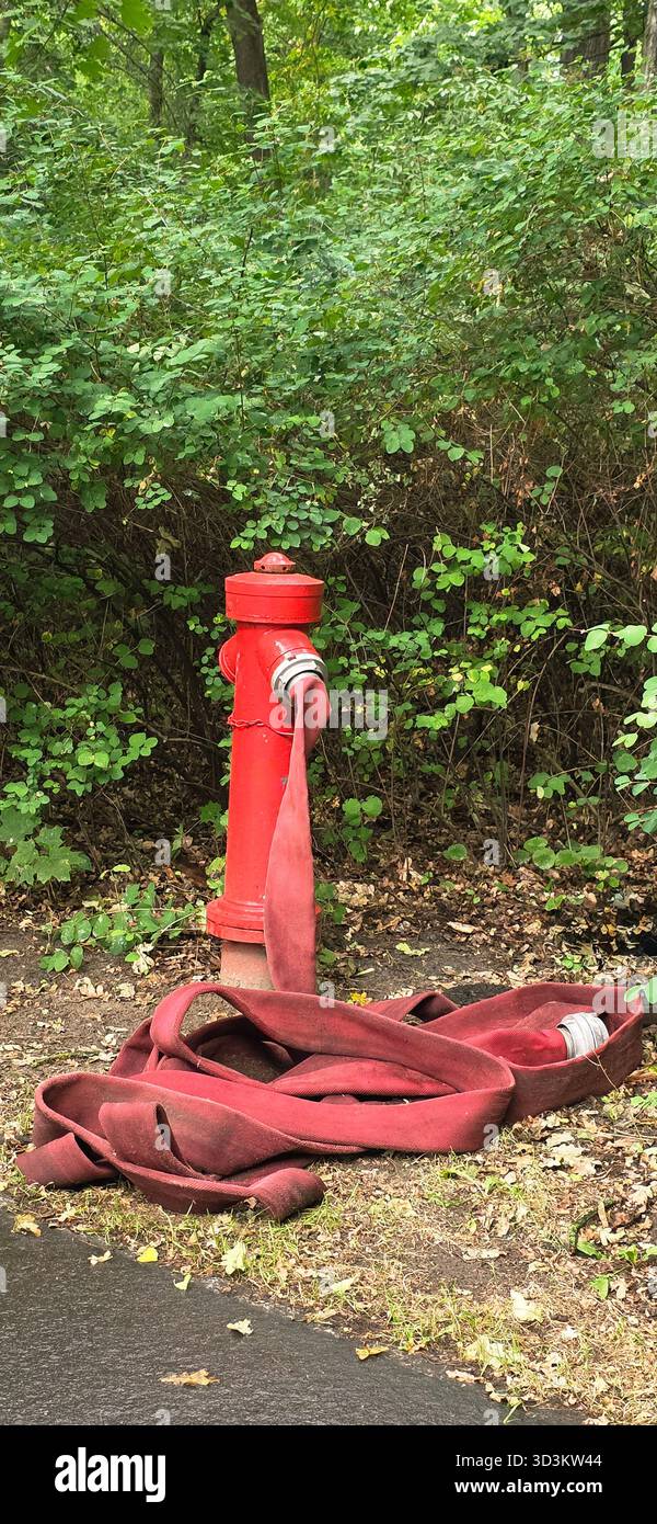 La bouche d'incendie rouge se tient bien en vue avec un tuyau enroulé sur le sol, entourée d'un feuillage vert luxuriant et d'éléments naturels. Banque D'Images