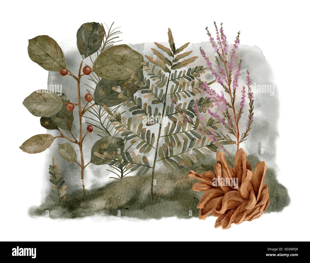 art aquarelle natureinspired, illustration botanique rustique pour la papeterie, représentation aquarelle douce d'éléments botaniques séchés avec des tons terreux tranquilles pour des projets de conception illustration aquarelle dessinée à la main Banque D'Images