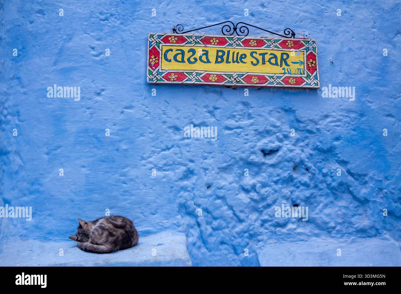 Chefchaouen, Maroc - 26 octobre 2025 : une charmante scène de Chefchaouen, la ville bleue du Maroc, capture un petit chaton dormir contre le signe avec o Banque D'Images