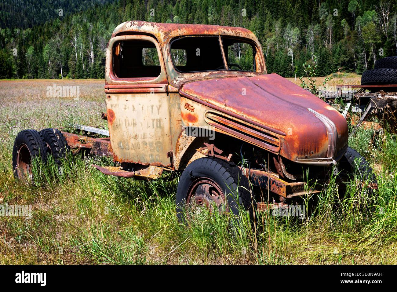 Un camion à plateau Ford de 2 tonnes datant du milieu des années 1940 est garé dans un champ herbeux, sa carrosserie rouillée et sa peinture délavée portant les marques de décennies d'exposition aux éléments. Banque D'Images
