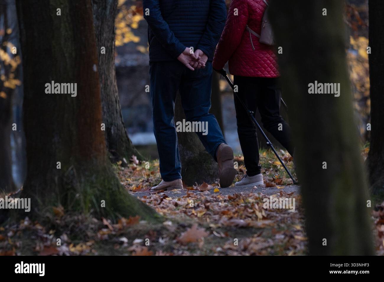 Couple de personnes âgées marchant avec des bâtons de marche nordique dans un parc d'automne. Mode de vie actif, santé articulaire et exercice en plein air pour les aînés. Utile f Banque D'Images