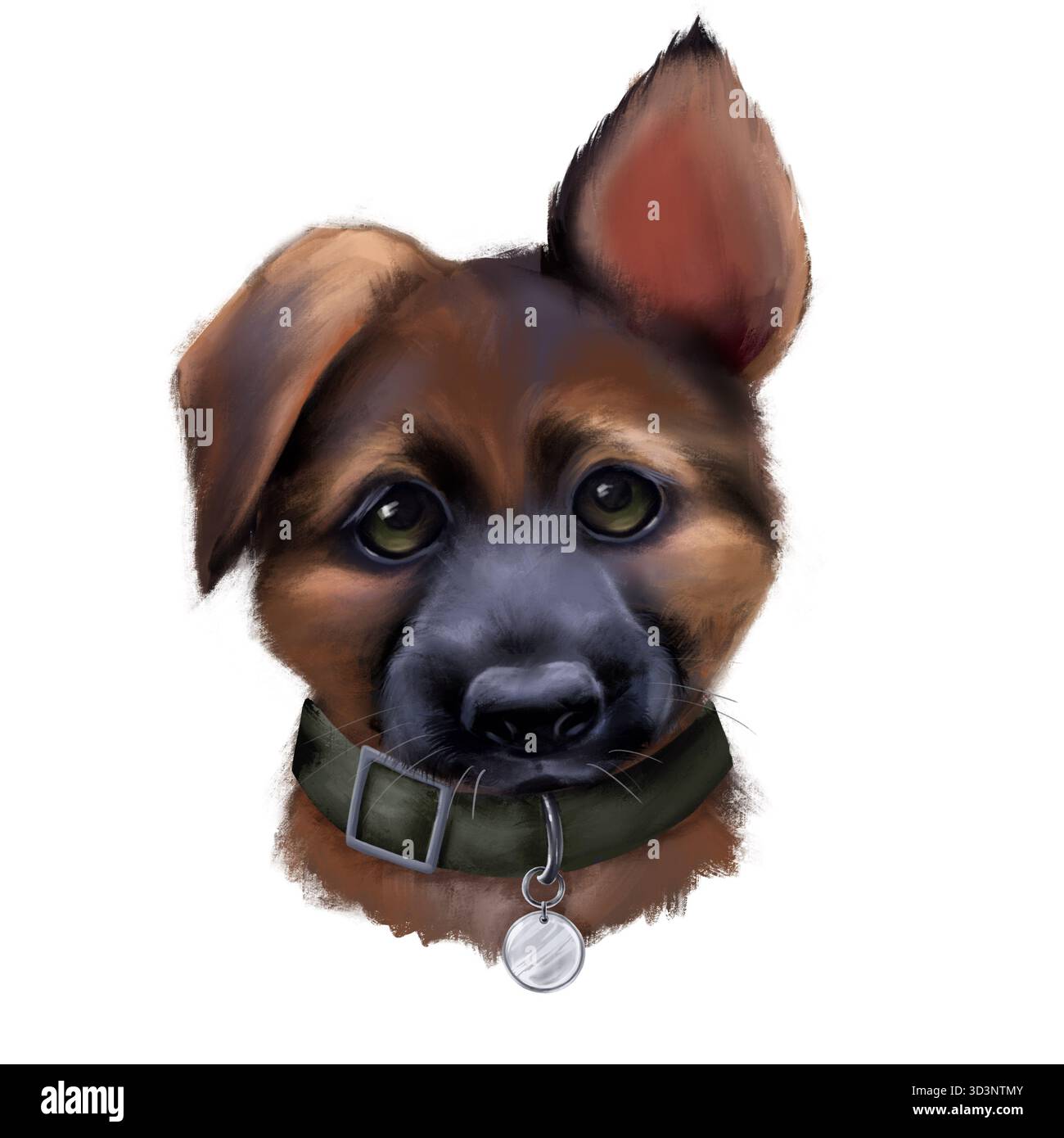 Portrait drôle de chien de berger allemand. Isolé sur blanc. Pour impression, affiches, autocollants, t-shirt, cartes. Banque D'Images