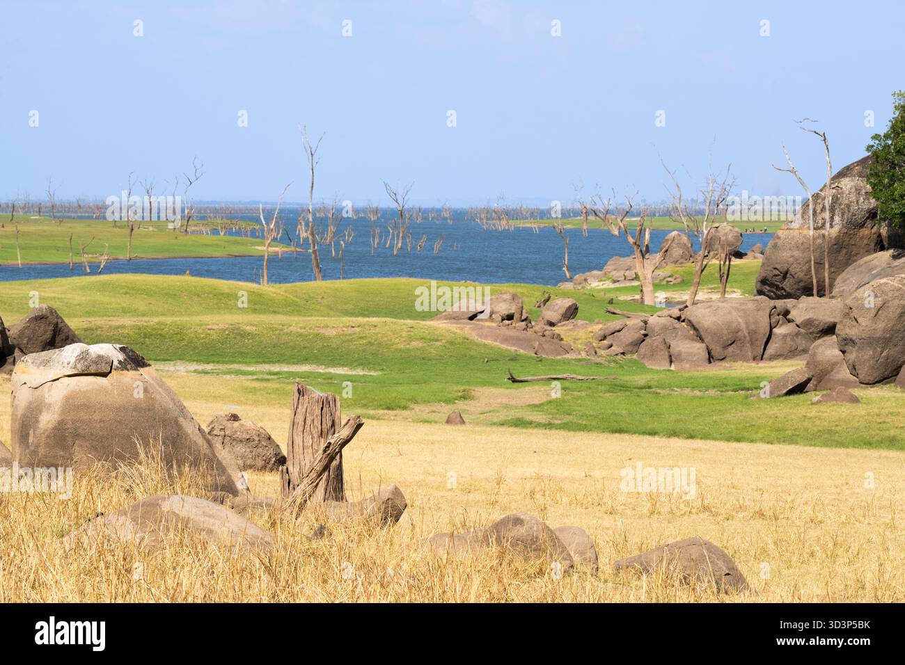Arbres hydroponiques morts debout dans le lac Itezhi-Tezhi. Paysage africain du lac Itezhi-Tezhi. Parc national de Kafue, Zambie, Afrique Banque D'Images