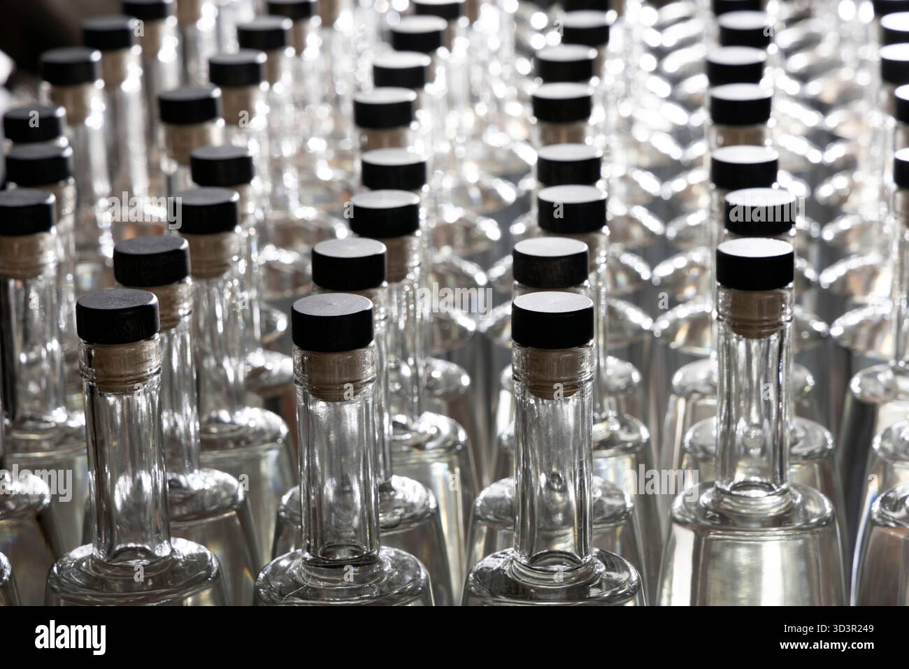 Rangées de bouteilles vides en verre transparent avec rétroéclairage lumineux Banque D'Images