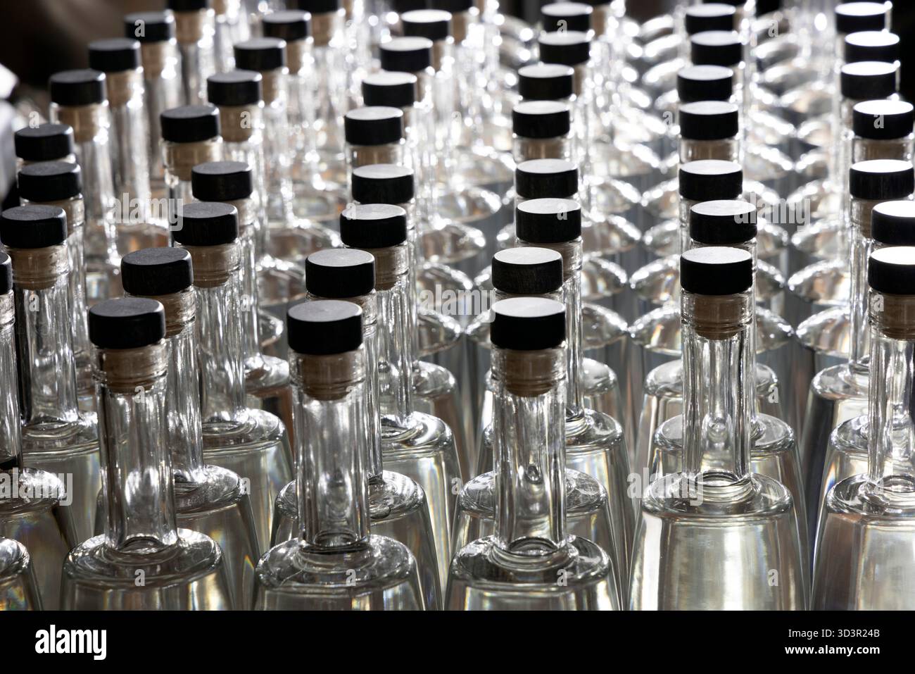 Rangées de bouteilles vides en verre transparent avec rétroéclairage lumineux Banque D'Images