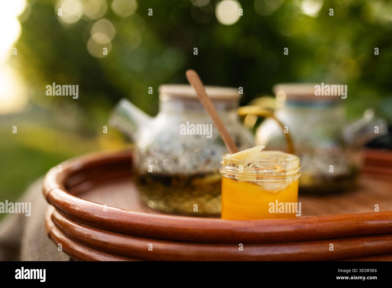 Un brunch pique-nique serein avec un pot en verre de miel avec une cuillère en bois sur un plateau, accompagné de théières, dans un cadre naturel luxuriant Banque D'Images