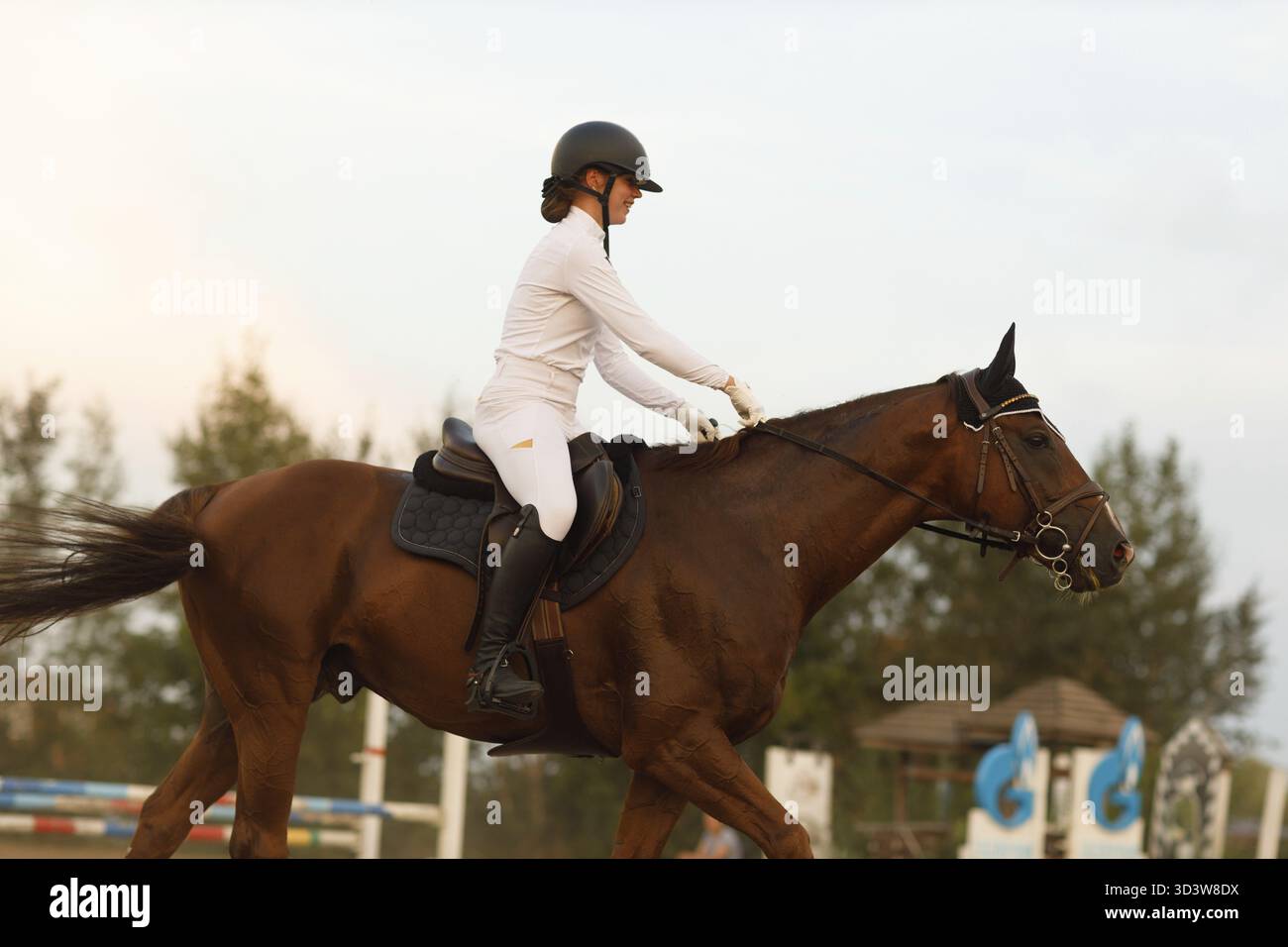 Cheval de dressage et cavalier en uniforme pendant la compétition de saut équestre Banque D'Images