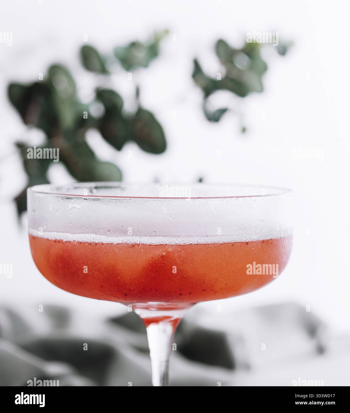 Nourriture, boisson estivale rafraîchissante aux fraises avec champagne Banque D'Images