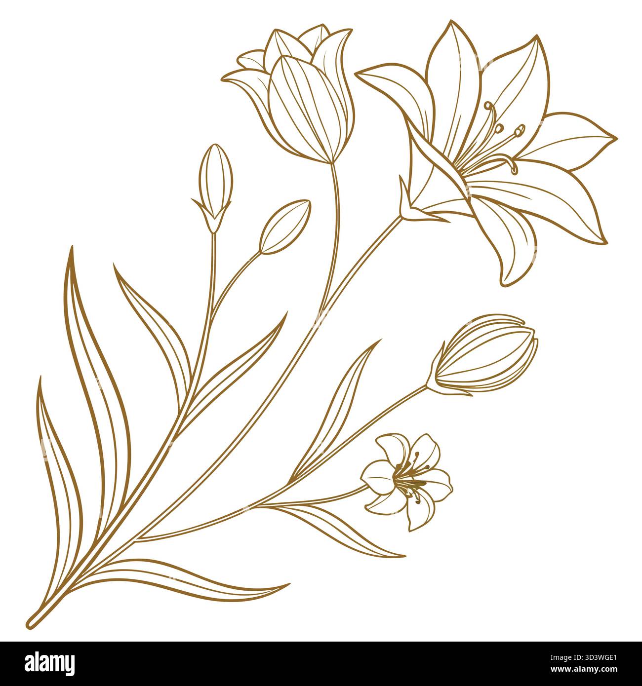 Vecteur d'art de ligne florale élégant avec contour d'or de luxe, illustration botanique minimaliste pour la mode, la beauté et la conception de marque Illustration de Vecteur