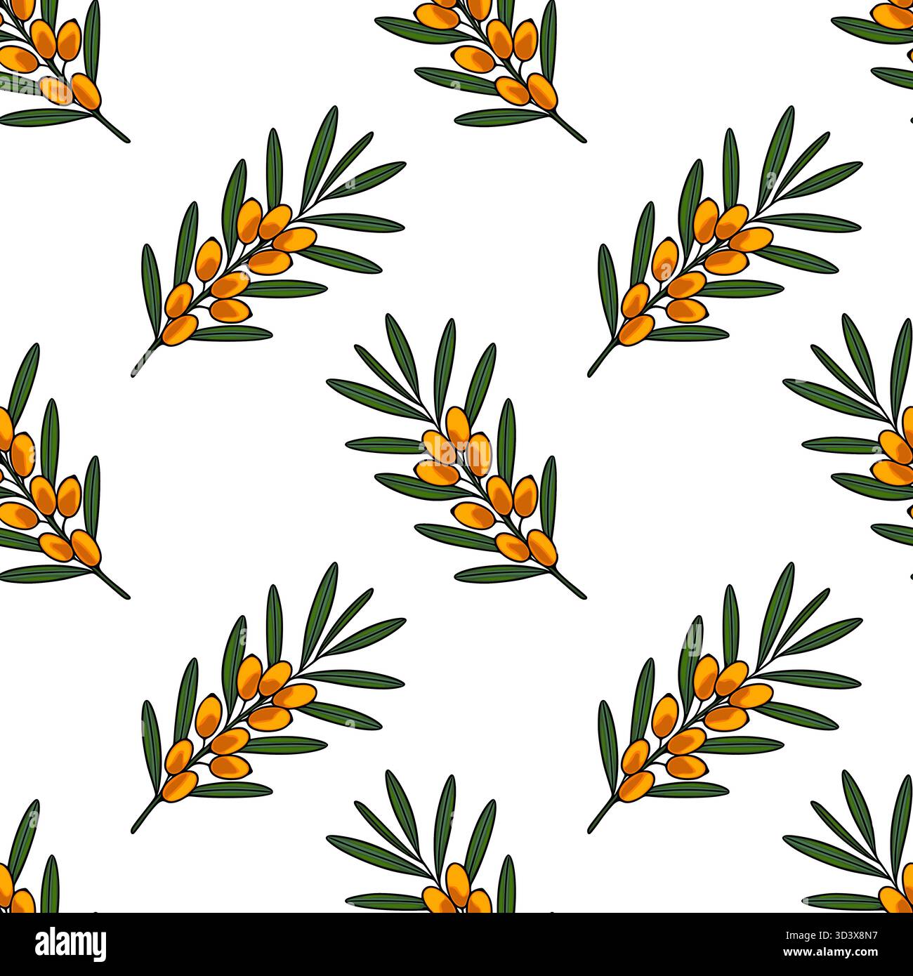 Modèle vectoriel sans couture de branches d'argousier vibrantes avec des baies orange vif et des feuilles vert foncé sur un fond blanc propre. Illustration de Vecteur