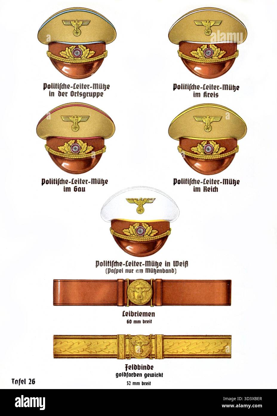 La planche 26 de l'Organisationsbuch der NSDAP de 1943 montre des dessins de chefs politiques utilisés aux niveaux local, régional, national et régional du parti nazi. Banque D'Images