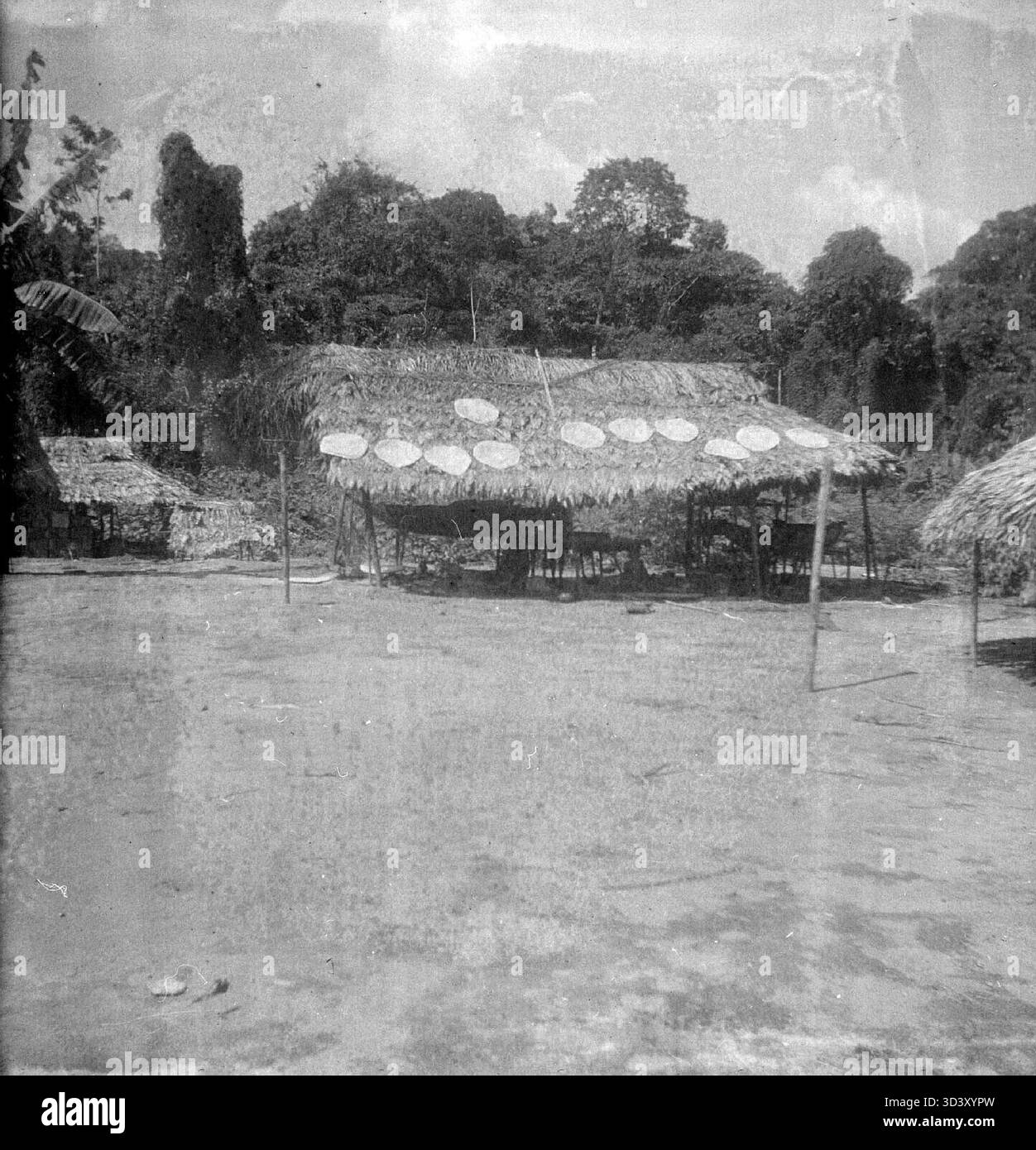 Village indigène d'Oajana avec des gâteaux de manioc séchant, photographié entre 1936 et 1937. Banque D'Images
