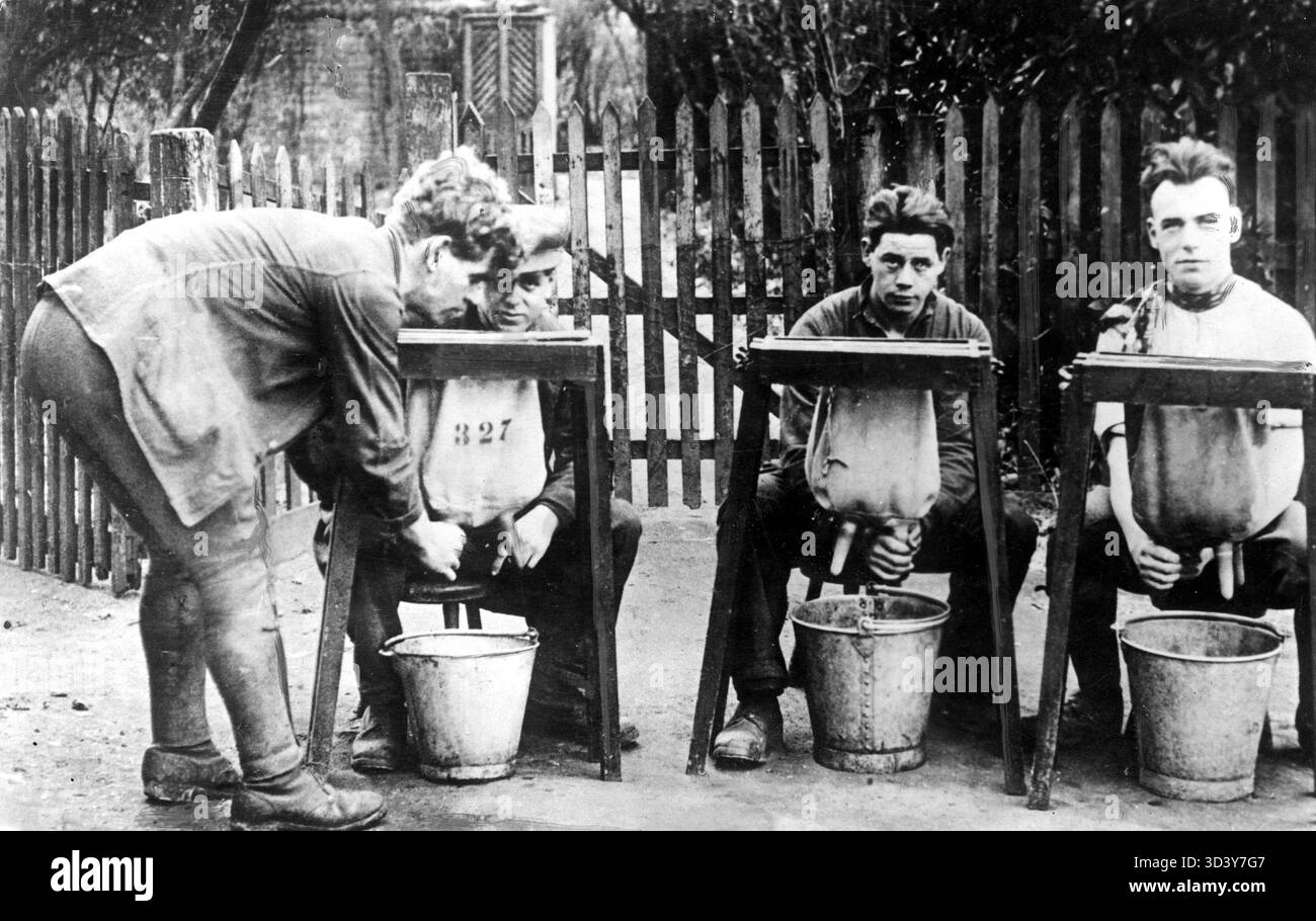 En 1927, les immigrants au Canada apprennent à traire les vaches à l'aide de sacs en tissu, illustrant les pratiques agricoles enseignées aux nouveaux arrivants dans les régions rurales du Canada. Banque D'Images