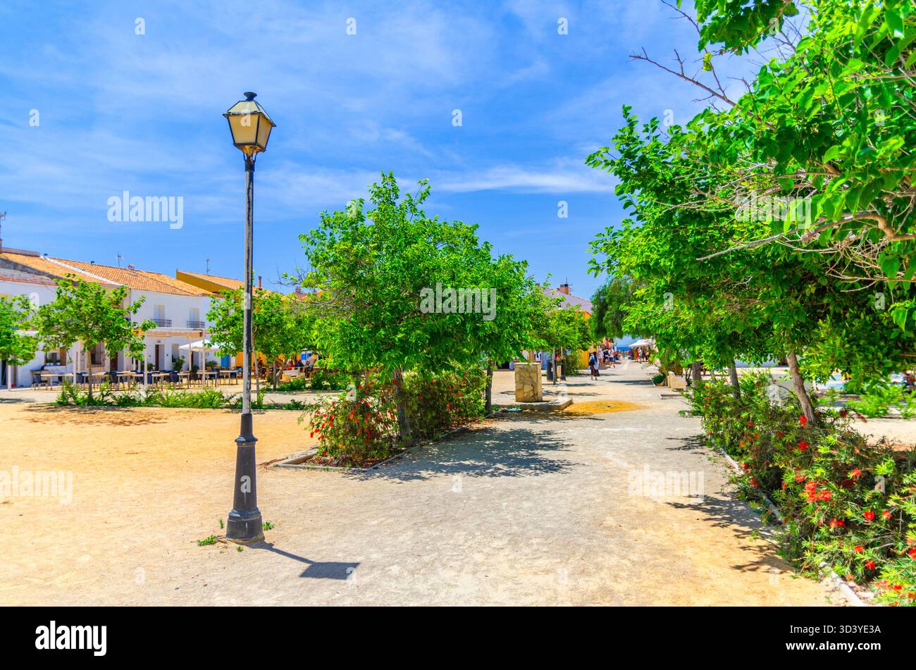 Place centrale de l'île de Tabarca Nueva Tabarca Isla Plana village ville, vieux bâtiments maisons typiques, arbres verts et lumière de rue dans la journée ensoleillée d'été Banque D'Images