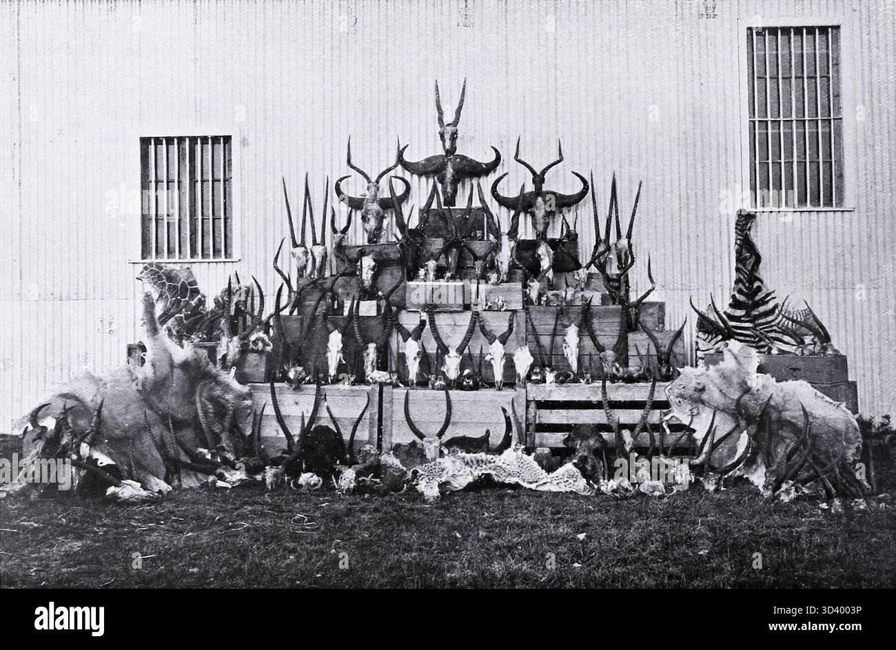Carte Postale Ancienne L'Afrique En Couleurs Plage de Pecheurs