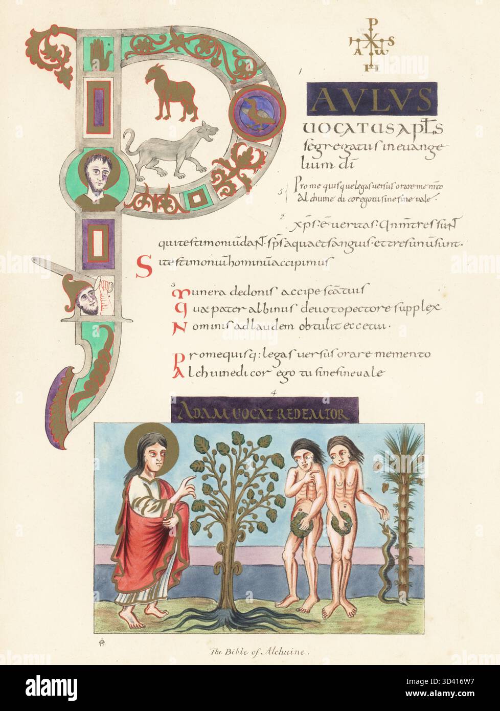 La Bible Alchuine au British Museum. Dessin d'Adam et Ève chargés du premier péché 4, l'épître de Saint Paul aux Romains 1, contesté passage 2, versets d'Alchuine 3,5. Créé par le savant anglo-saxon Alchuine (Albinus ou Alcbinus) pour HRE Charlemagne en 799. Chromolithographie d'après une illustration par John Obadiah Westwood de sa propre Palaeographia Sacra Pictoria, étant une série d'illustrations des anciennes versions de la Bible, copiées à partir de manuscrits enluminés, William Smith, Londres, 1843. Banque D'Images