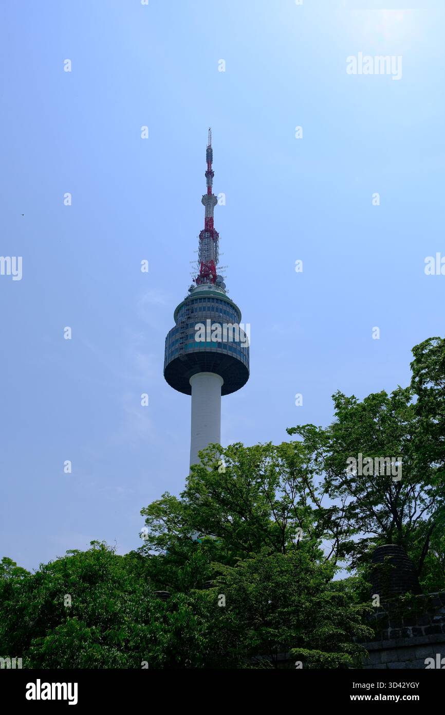 N Seoul Tower s'élevant au-dessus d'arbres verdoyants par une claire journée d'été à Séoul, Corée du Sud. Banque D'Images