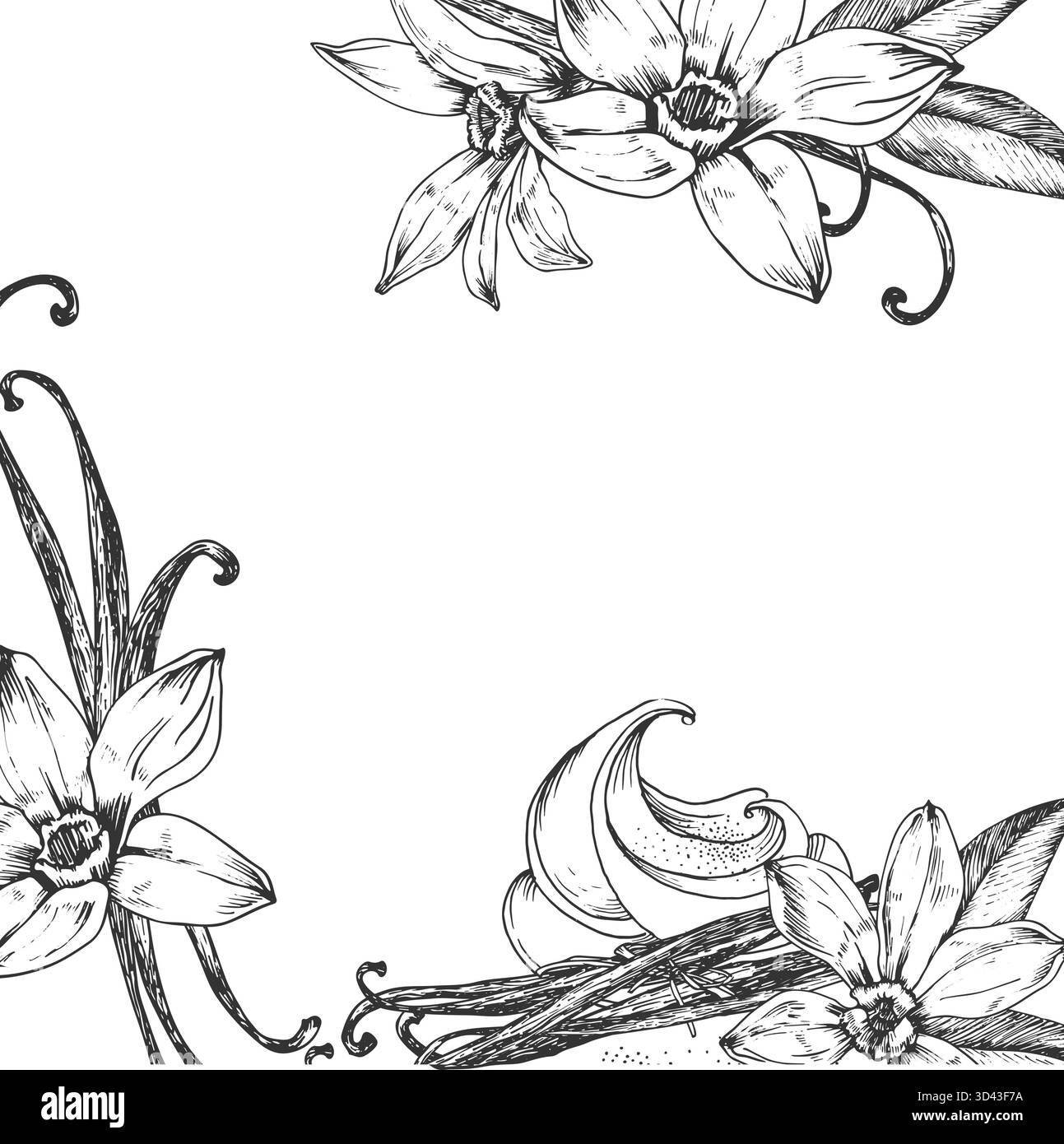 Vanille illustration vectorielle dessinée à la main. Cadre noir et blanc avec fleurs, gousses Illustration de Vecteur