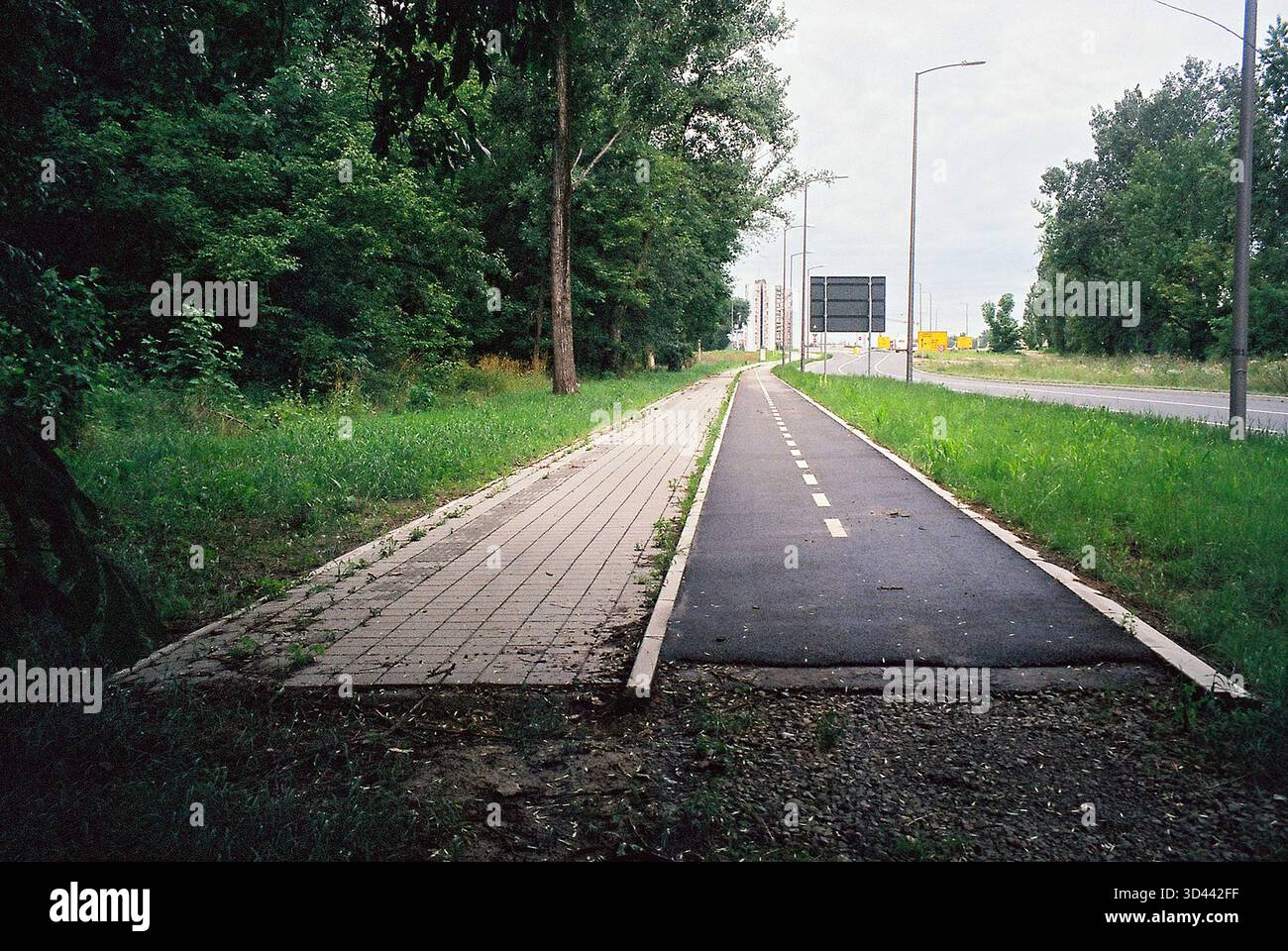 Fin d'une piste cyclable et piétonne nouvellement construite entourée de forêt, instantané analogique avec une atmosphère naturelle calme. Banque D'Images