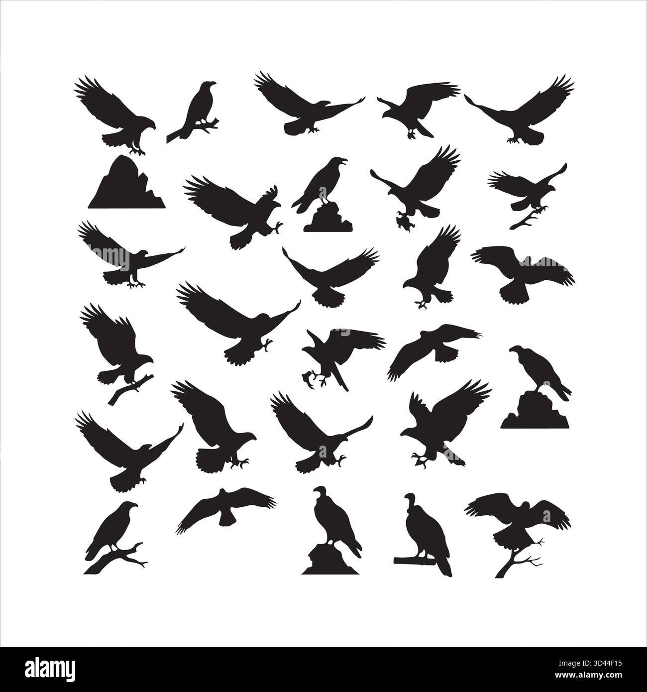 Majestueux oiseaux de proie Silhouette vecteur Illustration de Vecteur