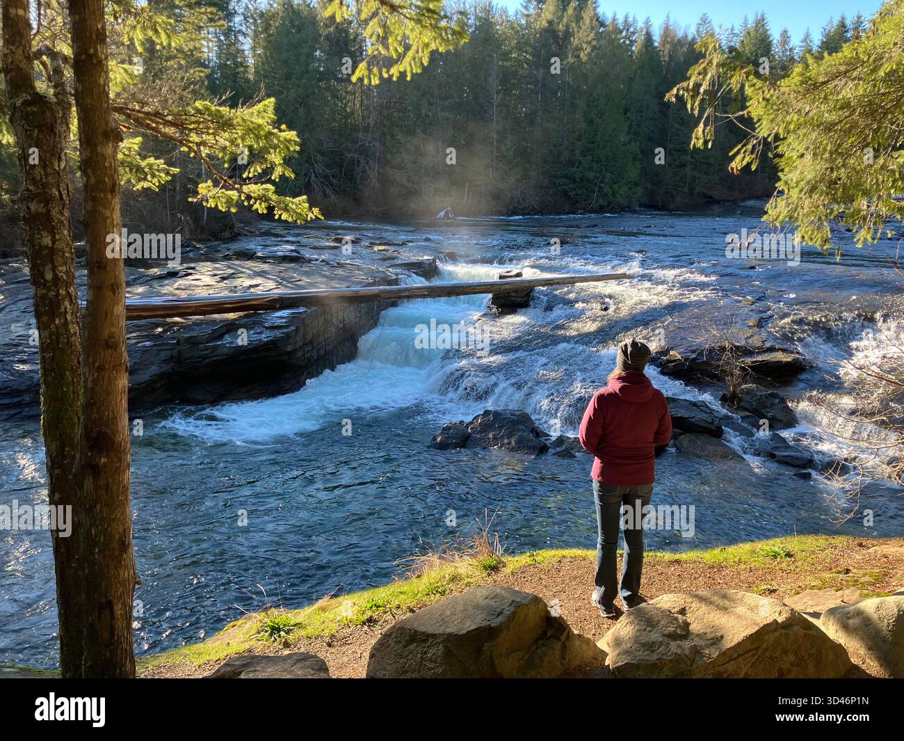 Femme debout sur la rive à Nymph Falls, rivière Puntledge, Comox Valley, île de Vancouver, Colombie-Britannique, Canada - Image de stock capturée avec un smartphone