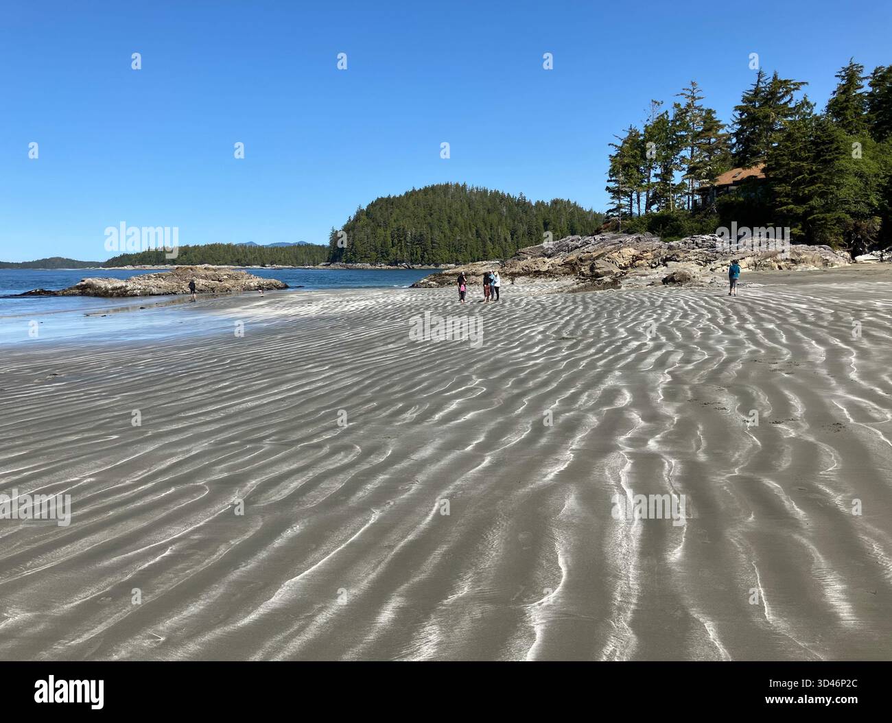 Plage Tonquin, Tofino, Île de Vancouver, Colombie-Britannique, Canada - Image de stock capturée avec un smartphone