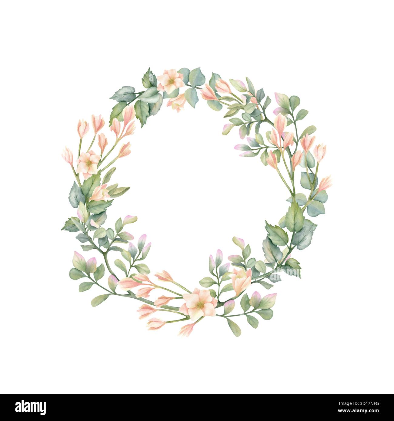Délicate couronne florale, cadre avec freesia beige, feuilles de pistache, illustration d'eucalyptus. Composition de printemps pastel dans un style rustique, modèle Banque D'Images