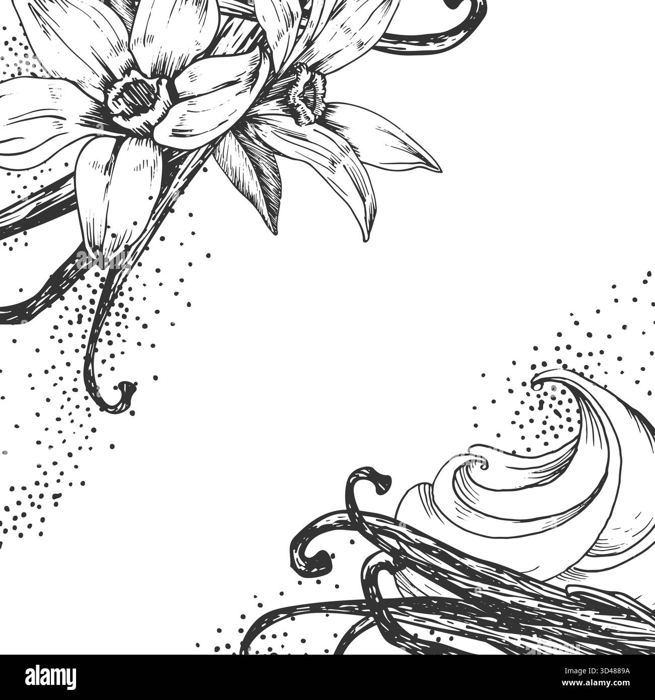 Vanille illustration vectorielle dessinée à la main. Cadre noir et blanc avec fleurs, gousses Illustration de Vecteur