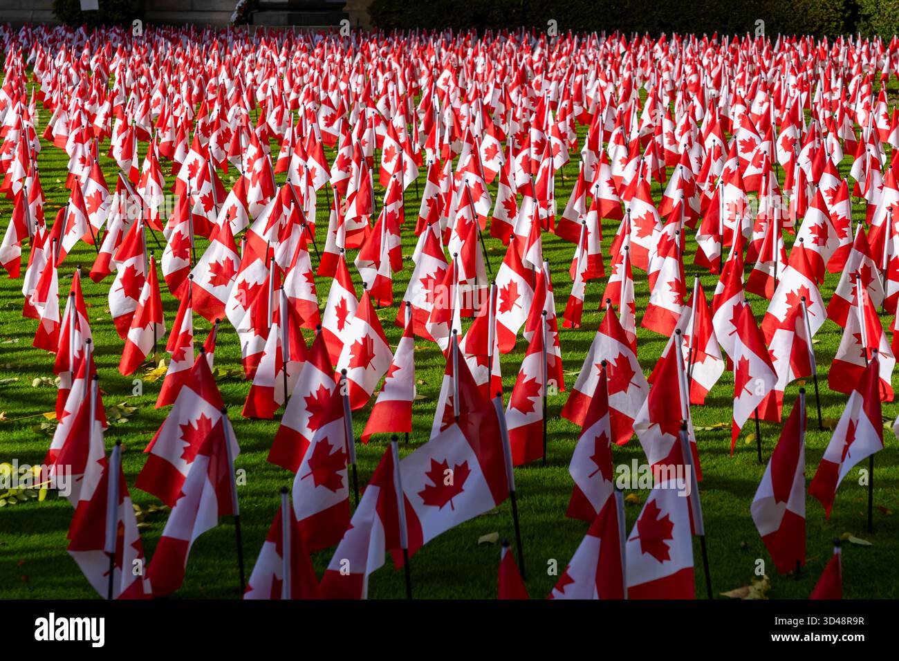 Petits drapeaux canadiens sur le sol pour le jour du souvenir du 11 novembre. Toronto, Canada. Banque D'Images