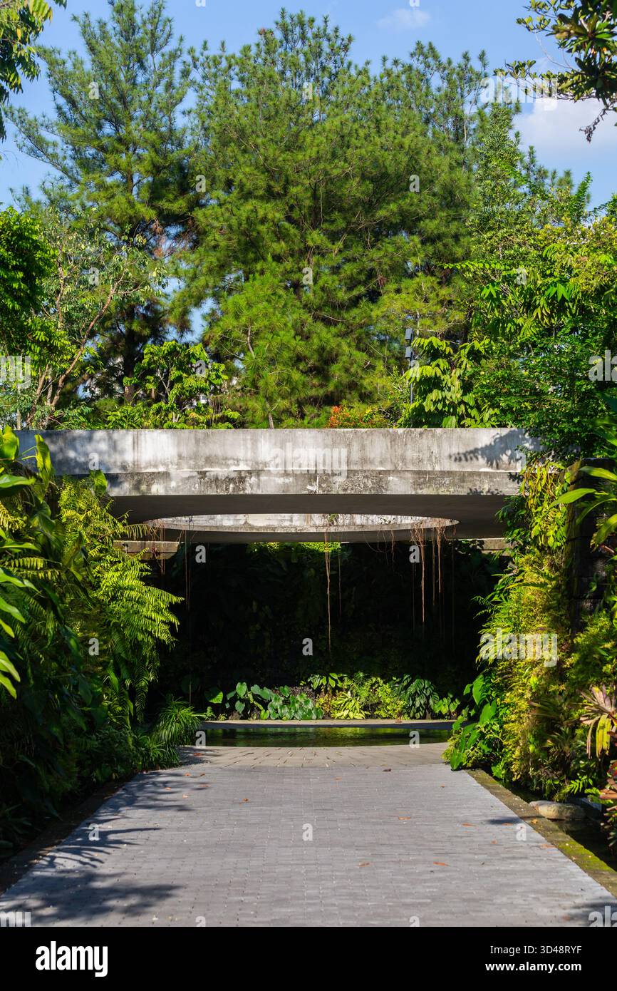 Vue verticale. Jardin encastré au jardin japonais, Singapour. Banque D'Images