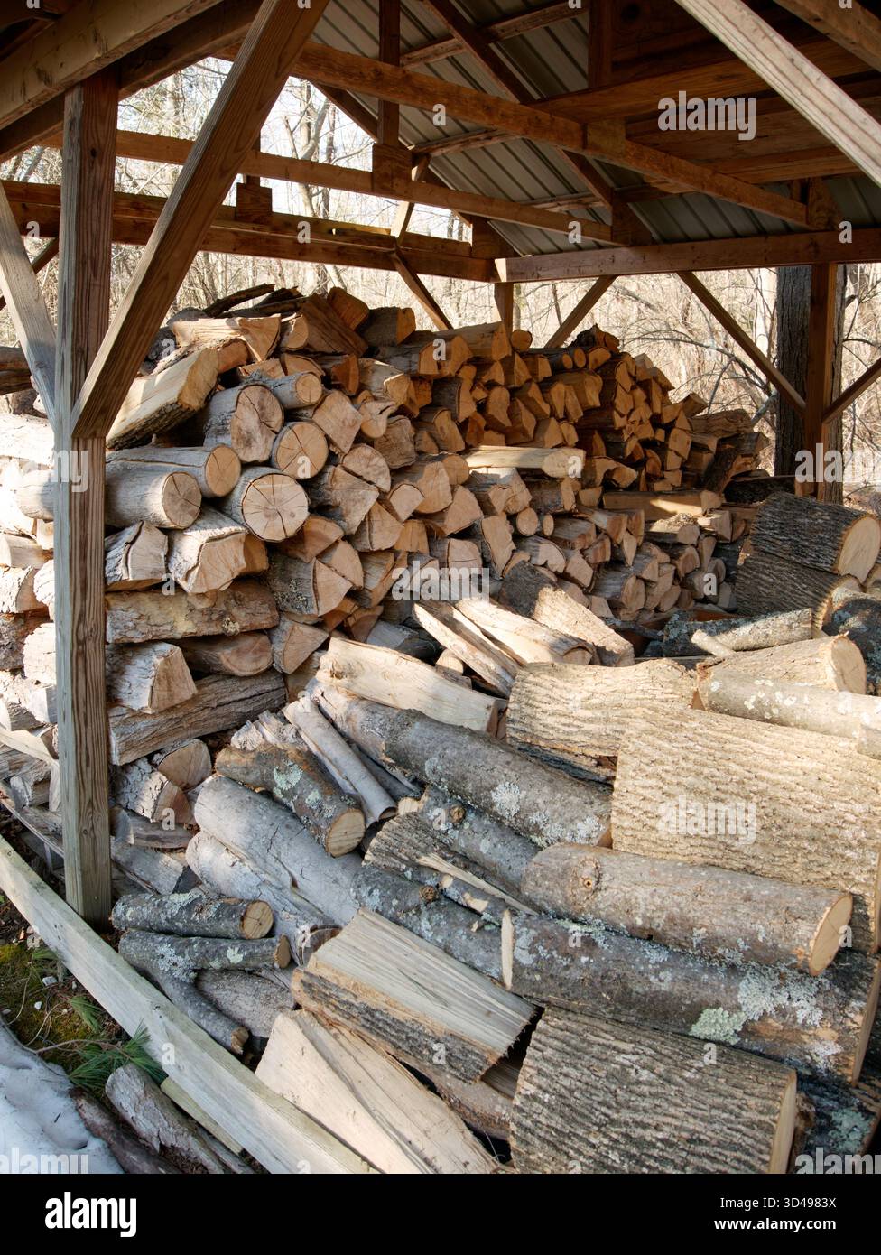 Tas de bois haché dans un hangar Banque D'Images