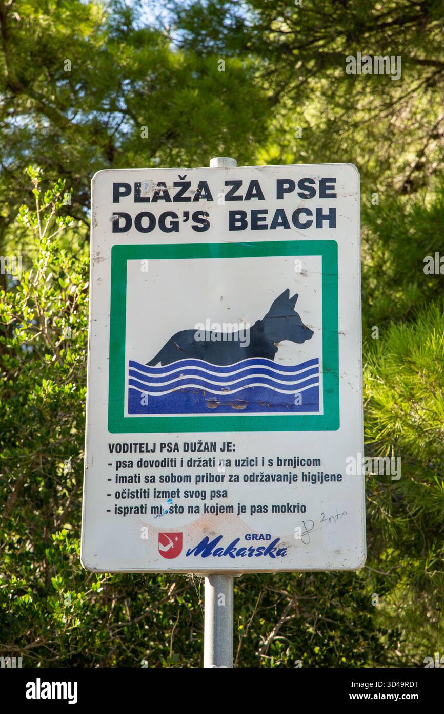 Plage spécifiquement dédiée aux chiens sur la côte croate à Makarska Croatie Banque D'Images
